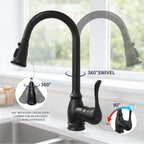 High Arc Kitchen Faucet with 2-Function Pull Down Sprayer Single Handle Deck Mount, Matte Black CZ804102