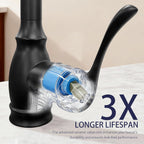 High Arc Kitchen Faucet with 2-Function Pull Down Sprayer Single Handle Deck Mount, Matte Black CZ804102
