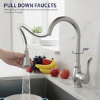 High Arc Kitchen Faucet with 2-Function Pull Down Sprayer Single Handle Deck Mount, Brushed Nickel CZ804102