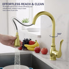 High Arc Kitchen Faucet with 2-Function Pull Down Sprayer Single Handle Deck Mount, Gold CZ804102