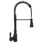 High Arc Commercial Spring Style 2-Function Single Handle Pull Down Kitchen Faucet, Black CZ425402