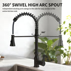 High Arc Commercial Spring Style 2-Function Single Handle Pull Down Kitchen Faucet, Black CZ425402