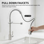 High Arc Commercial Spring Style 2-Function Single Handle Pull Down Kitchen Faucet, Brushed Nickel CZ425402
