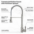 High Arc Commercial Spring Style 2-Function Single Handle Pull Down Kitchen Faucet, Brushed Nickel CZ425402