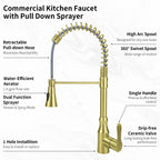 High Arc Commercial Spring Style 2-Function Single Handle Pull Down Kitchen Faucet, Gold CZ425402