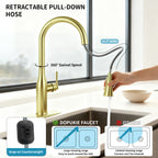 Pull Down Sprayer Kitchen Sink Faucet, Single Handle Kitchen Faucet, Brush Gold 8L2108
