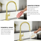 Pull Down Sprayer Kitchen Sink Faucet, Single Handle Kitchen Faucet, Brush Gold 8L2108