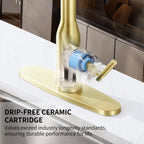 Pull Down Sprayer Kitchen Sink Faucet, Single Handle Kitchen Faucet, Brush Gold 8L2108