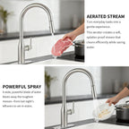 Pull Down Sprayer Kitchen Sink Faucet, Single Handle Kitchen Faucet, Brush Nickel 8L2108
