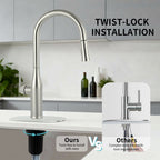 Pull Down Sprayer Kitchen Sink Faucet, Single Handle Kitchen Faucet, Brush Nickel 8L2108